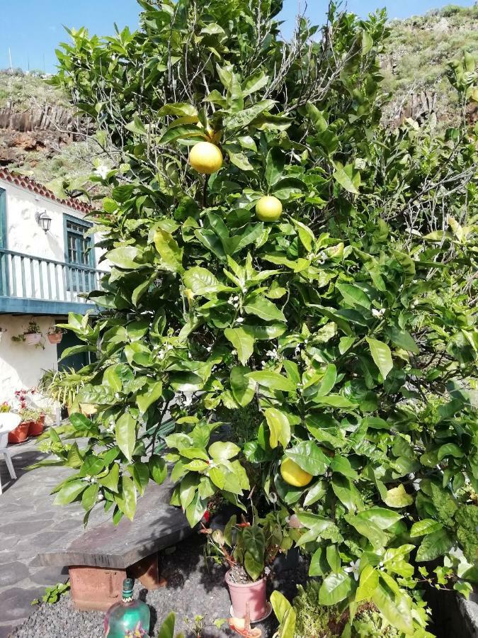 Grosse Finca 19Jh, Pool, Terrasse, Nahe Santa Cruz Santa Cruz de la Palma  Exterior photo