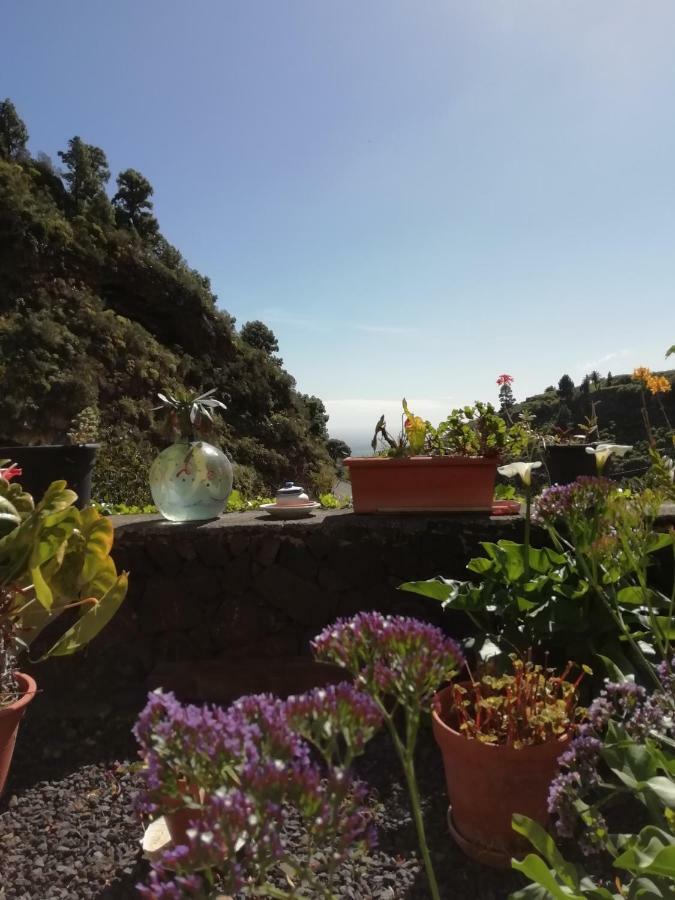Grosse Finca 19Jh, Pool, Terrasse, Nahe Santa Cruz Santa Cruz de la Palma  Exterior photo